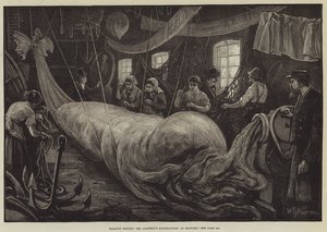 Fabrication de Ballons, Manufacture de M. Coxwell à Seaford - William Bazett Murray